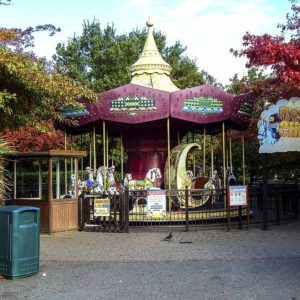 Hang out at Desert Chase