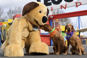 Hang out at Meet Dexter