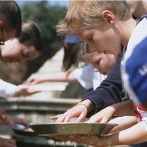 Hang out at Pirate Goldwash