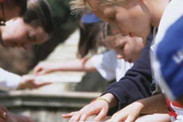 Hang out at Pirate Goldwash