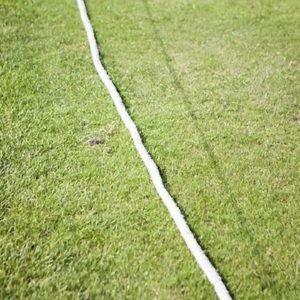 Watch the Cricket at Eversholt