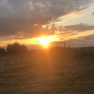 Come Over For A Coffee at Kraken Cafe