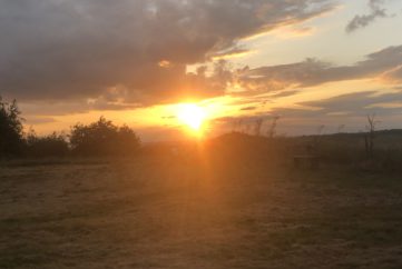 Come Over For A Coffee at Kraken Cafe