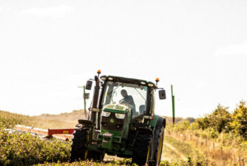 Eat at Strawberry Fields Farm shop Lifton